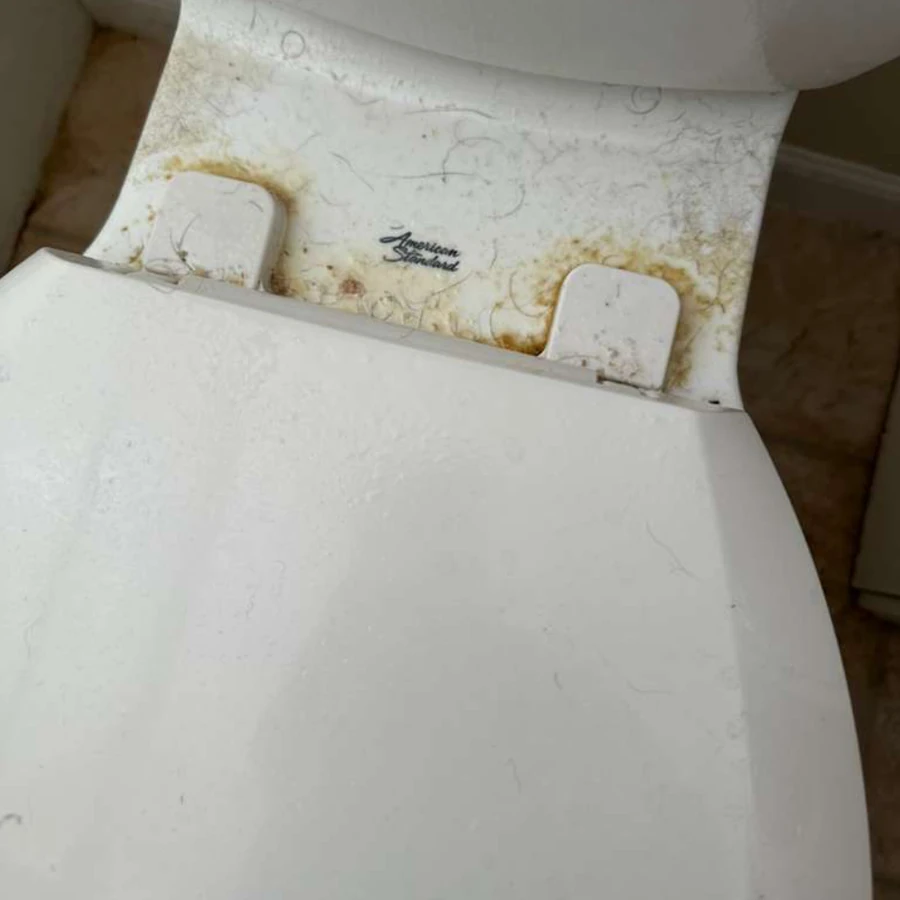 Toilet before and after deep cleaning service in Massachusetts and New Hampshire